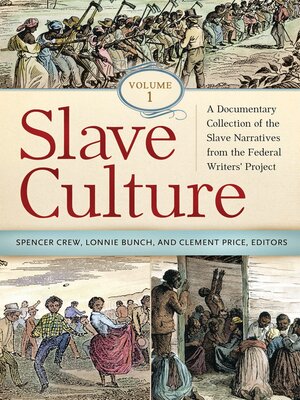 cover image of Slave Culture